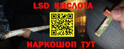 гидропоника Канаш
