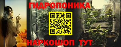 ПСИЛОЦИБИНОВЫЕ ГРИБЫ Камышлов