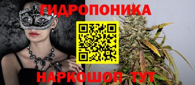 прущие крисы Кандалакша